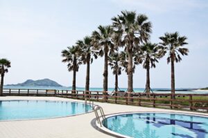 How to calculate vacation rental income.